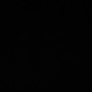 Meet your Posher, Yasemin